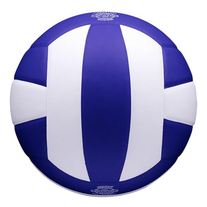 Baden | Precision | Official Size + Weight Entry Level Youth Indoor Volleyball | PU Composite, Extra Foam Backing, Reduce Sting - color: Royal Blue