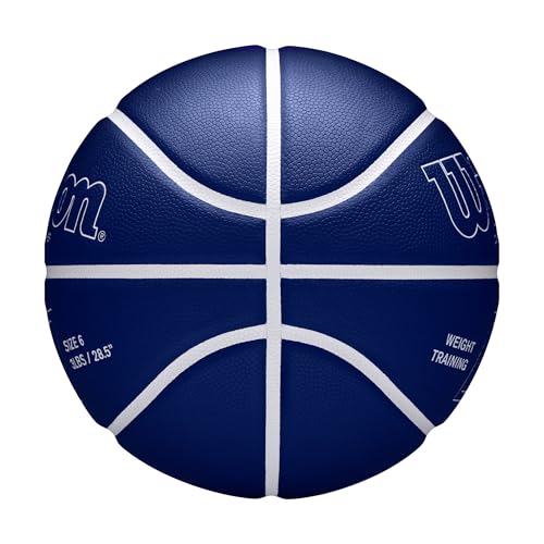 WILSON x Chris Brickley Training Basketballs - Size 6 and Size 7 - size: Size 7 - 29.5", style: Weighted Training Ball