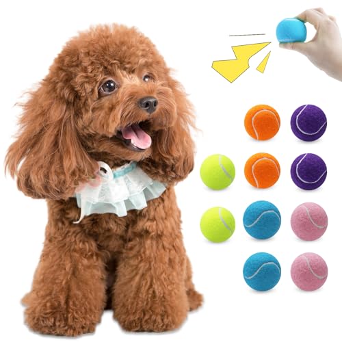 Magicorange 10 Pack Squeaky Mini Tennis Balls, 1.5 inch Tennis Balls for Dogs, Colorful Easy Catching Pet Dog Playing Ball (Multicolor, 1.5 inch)