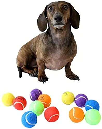 Midlee X-Small Dog Tennis Balls 1.5" Pack of 12 (Solid, 1.5 inch) - color: Multicolored