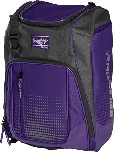 Rawlings | FRANCHISE Backpack Equipment Bag | Baseball/Softball | Rec/Travel | Multiple Styles - color: Purple