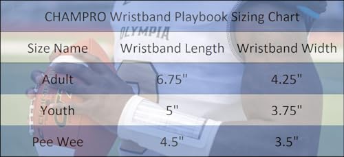 Champro Adult Quarterback Playbook Triple (AF50B) - color: White, size: Adult