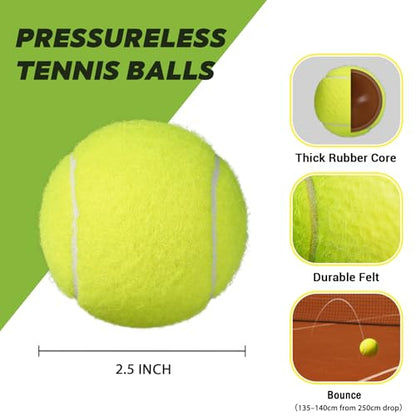 INSUM Bulk Tennis Balls for Beginner – 20/30/60/120 Pack High Elasticity Practice Tennis Balls with Mesh Bags, Portable for Pet Dog Outdoor Playing, Training, Fetching