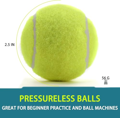 INSUM Bulk Tennis Balls for Beginner – 12 Pack High Elasticity Practice Tennis Balls with Mesh Bag, Suit for Pet Dog Training, Fetching - color: Mixed-N