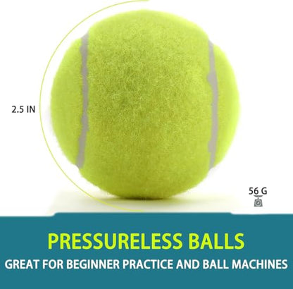 INSUM Bulk Tennis Balls for Beginner – 12 Pack High Elasticity Practice Tennis Balls with Mesh Bag, Suit for Pet Dog Training, Fetching - color: Mixed-N