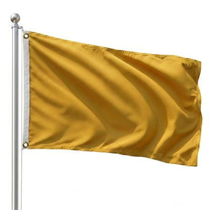 DMSE Solid Gold Flag, 2x3 Flag, UV Resistant, Fade Resistant Material with Metal Grommets (2ft x 3ft), (Nylon), (Gold) - color: Gold, size: Nylon (2 x 3 ft)