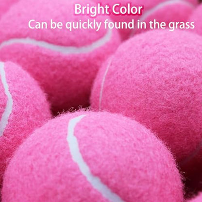 SHYUJAJIE Tennis Balls, 40 Pack Training Tennis Balls,High Elasticity Practice Tennis for Beginner, Exercise Playing Balls for Pet Dog - color: Light Pink