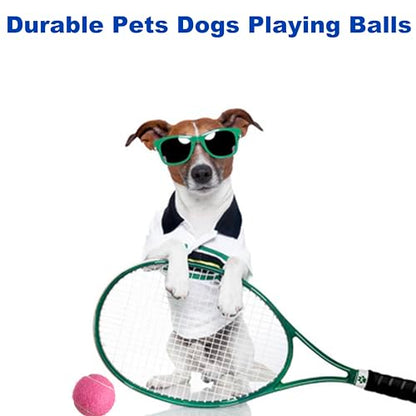 4 Pack Tennis Balls - Long Lasting Practice Balls for Tennis Beginners, Tennis Training Balls, Dog Fetch Toys - color: Grey
