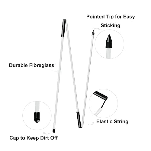 Eshan Golf Alignment Sticks 2 Pack Swing Training Aid Equipment Collapsible Trainer Practice Rods Posture Corrector in Handy Storage Tube Case for Men Women Golfer Swinging