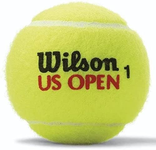 Wilson Extra Duty Tennis Ball