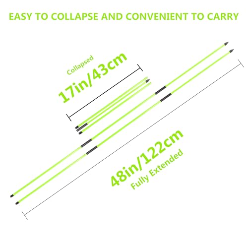 Golf Alignment Stick - Golf Sticks Alignment Aid 48" Golf Alignment Rods 2 Pack for Aiming, Putting, Full Swing Trainer, Posture Corrector Golf Training aid with Clear Tube Case
