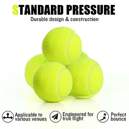 30/40 Pack Training Tennis Balls, Pet Dog Playing Balls, Practice Tennis Balls with Mesh Bag for Transport and Beginner Training - color: Colorful-40Pack