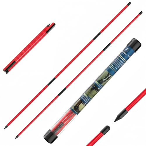 CAITON Golf Alignment Sticks 2 Pack, 48 Inch Collapsible Alignment Rods with Clear Storage Tube, Swing Training Aid for Aiming, Putting, Swing Path & Posture Correction - color: Three-stage Red