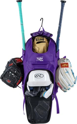 Rawlings | FRANCHISE 2.0 Player's Backpack | Baseball/Softball | Rec/Travel | Multiple Styles | Baseball/Softball - color: PURPLE