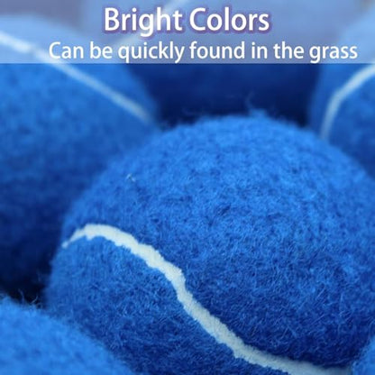 SHYUJAJIE Tennis Balls, 40 Pack Training Tennis Balls,High Elasticity Practice Tennis for Beginner, Exercise Playing Balls for Pet Dog - color: Blue
