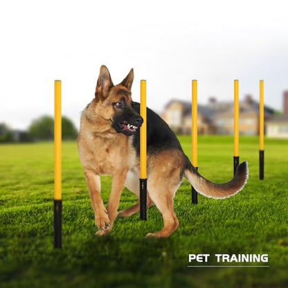 Soccer Agility Training Poles Set: Football Speed Training Equipment with 6Soccer Agility Poles Adjustable Height Hurdles for Basketball Athletes Youth