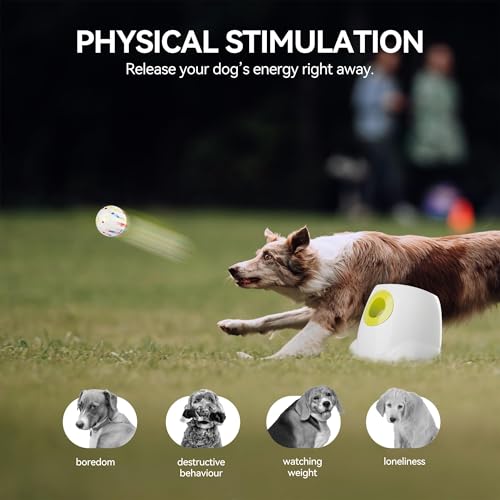 ALL FOR PAWS Automatic Dog Ball Launcher with 2.5in EPTU Balls, Ball Thrower for Medium to Large Dogs, Interactive Dog Fetch Toy for Mental & Physical Exercise - size: Max Size-EPTU Balls