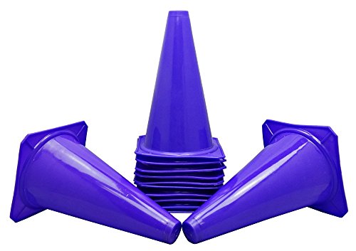 BlueDot Trading Agility Cones - color: Purple, style: 12 Pack
