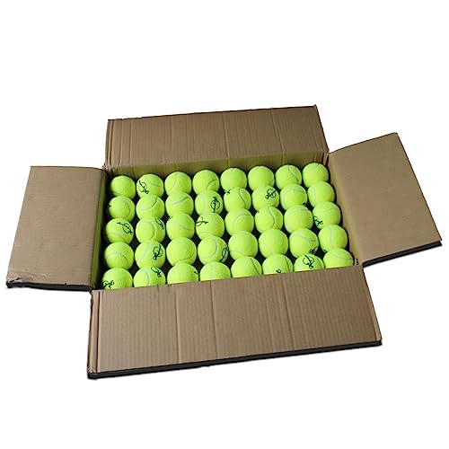 Magicorange Tennis Balls, Advanced Training Tennis Balls Practice Balls, Pet Dog Playing Balls, Come with Mesh Bag for Easy Transport, Good for Beginner Training Ball - color: Yellow, size: 120 Pack