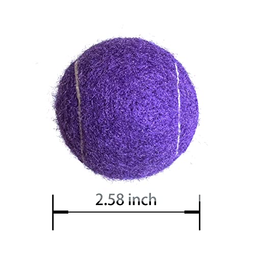 Tennis Balls, 15 Pack Practice Tennis Ball for Beginners, Training Playing Tennis Balls for Dogs, Come with Mesh Carry Bag - color: Purple
