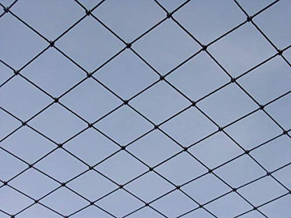 Excursions Aviary Netting 1" Heavy Knotted Poultry Net (25' x 25')