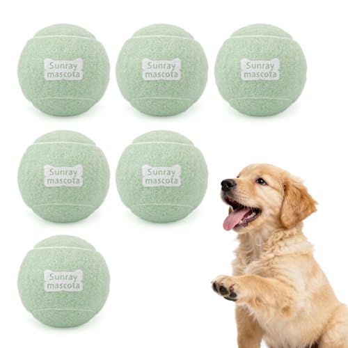2.5" Dog Tennis Balls 6-Pack Silent Bounce, Tough Rubber Core, Durable Fetch & Training Toys for Indoor/Outdoor Play, for Small Medium Large Dogs (Light Green, 6 Pack) - color: Light Green, 6 Pack, size: Medium 2.5" - 6 Pack
