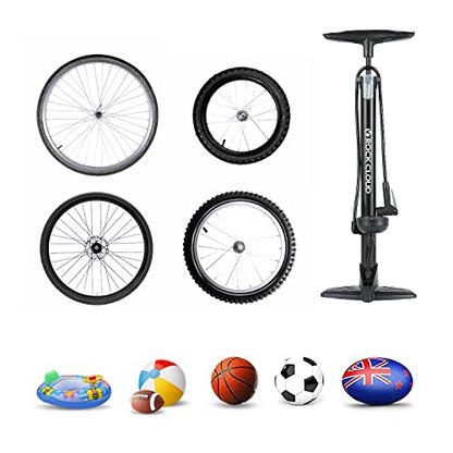 ROCK CLOUD Bike Floor Pump with Gauge 160 psi Bicycle Pump Presta and Schrader Valve for Tire Road Bike MTB Basketball Football etc.