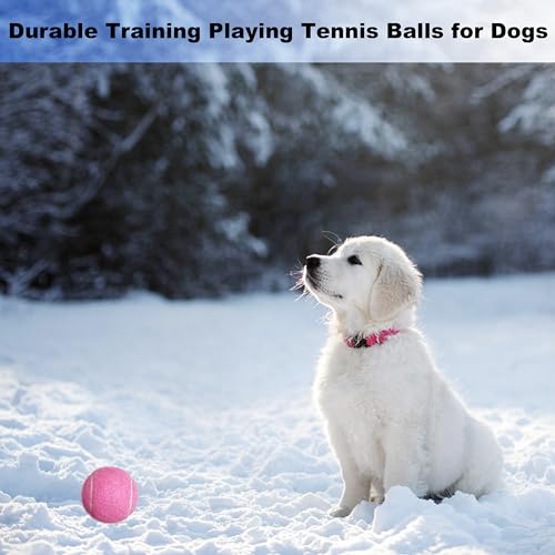 Tennis Balls, 12 Pack Advanced Training & Practice Tennis Balls for Beginners, Pet Dogs Playing Balls, Includes Mesh Carry Bag - color: Grey