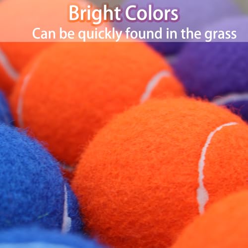 SHYUJAJIE Tennis Balls, 40 Pack Training Tennis Balls,High Elasticity Practice Tennis for Beginner, Exercise Playing Balls for Pet Dog - color: Multicolor