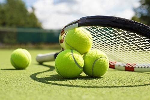 Wilson Extra Duty Tennis Ball