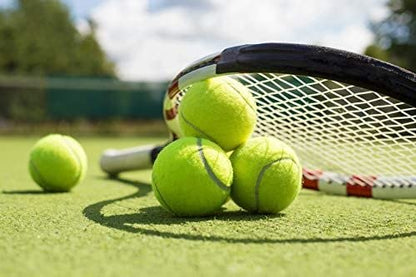 Wilson Extra Duty Tennis Ball