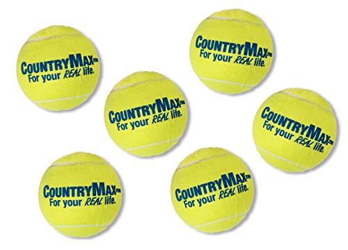 CountryMax Tennis Balls Medium Standard 2.5" for Small, Medium BreedDogs Aggressive Chewers Training and Playtime (6 Pack) - size: 6 Pack