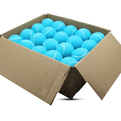 SHYUJAJIE Tennis Balls, 40 Pack Training Tennis Balls,High Elasticity Practice Tennis for Beginner, Exercise Playing Balls for Pet Dog - color: Light Blue