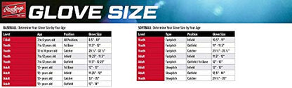Rawlings | MLB Players Glove Series | T-Ball & Youth Baseball Gloves | All MLB Teams
