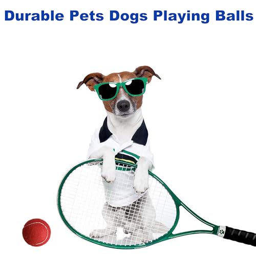 4 Pack Tennis Balls - Long Lasting Practice Balls for Tennis Beginners, Tennis Training Balls, Dog Fetch Toys - color: Red
