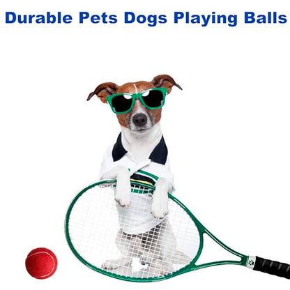 6 Pack Practice Tennis Balls - Long Lasting for Tennis Beginners, Tennis Training Balls, Dog Fetch Toys