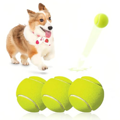 3 Pack Tennis Balls,High Elasticity Practice Tennis for Beginner,Training Balls