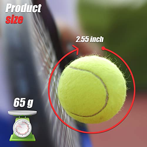 GKK 27 Pack Tennis Balls,Training Tennis Ball Pressure-Less Practising Bulk Tennis Balls for Youth/Beginners/Pet Dogs High Altitude Playing Balls - color: Pink