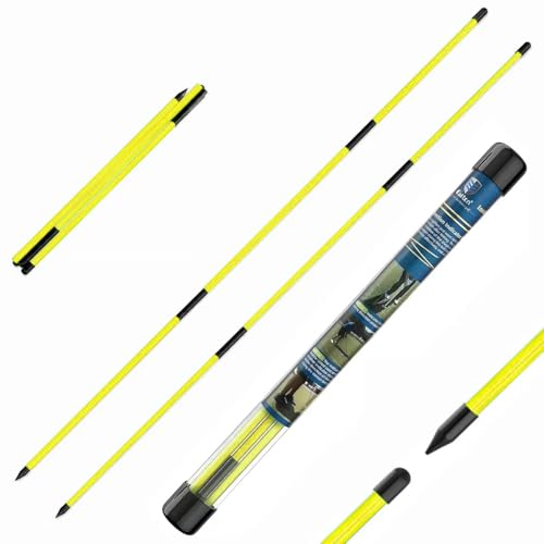 CAITON Golf Alignment Sticks 2 Pack, 48 Inch Collapsible Alignment Rods with Clear Storage Tube, Swing Training Aid for Aiming, Putting, Swing Path & Posture Correction - color: Three-stage yellow