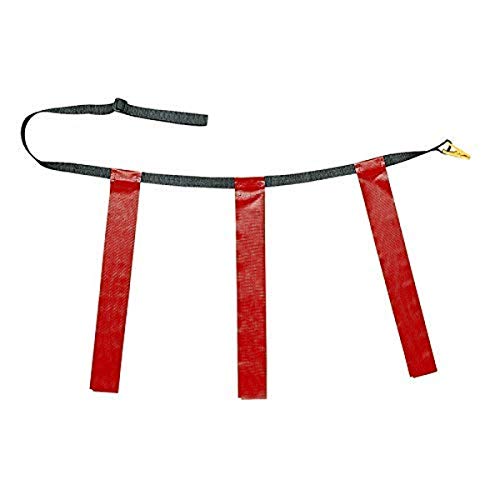 Champion Sports Quick Release Flag Football Set – Durable Belt, 3 Detachable Flags & Adjustable Fit (25”-50”) - color: Red Flags, size: Small (25"-31")