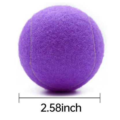 URBEST Tennis Ball, 10PCS Training Tennis Balls, Comes with a Net Bag for Easy Carrying, Beginner Training Tennis Balls, Pet Dog Exercise Ball - color: Purple
