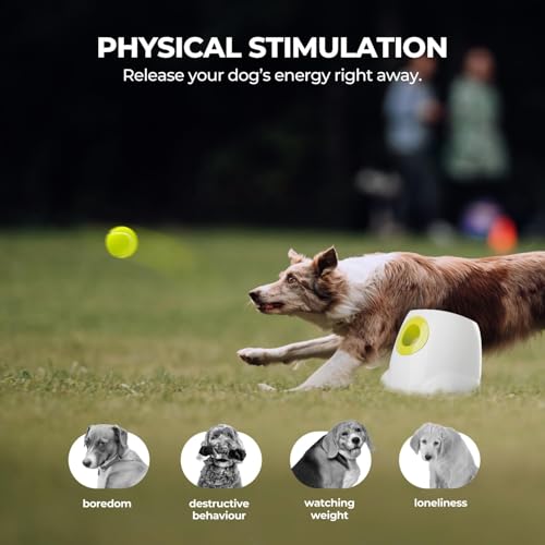 ALL FOR PAWS Automatic Dog Ball Launcher for Medium to Large Dogs, Interactive Tennis Ball Thrower, Rechargeable Dog Toy Mental Stimulation Training Game for Energetic Dogs - size: Max Size