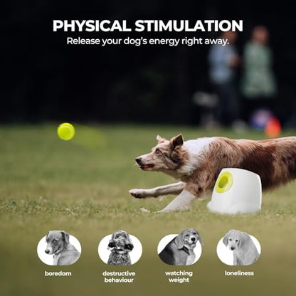 ALL FOR PAWS Automatic Dog Ball Launcher for Medium to Large Dogs, Interactive Tennis Ball Thrower, Rechargeable Dog Toy Mental Stimulation Training Game for Energetic Dogs - size: Max Size