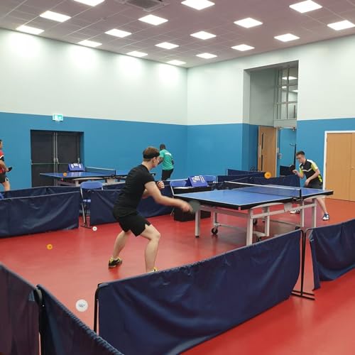 MAPOL 100 Counts 3-Star Orange Practice Ping Pong Balls Advanced Table Tennis Balls