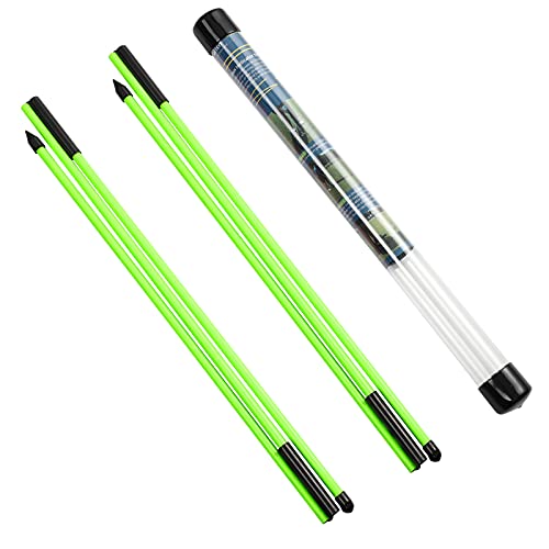 Golf Alignment Sticks - 48" Collapsible Golf Practice Rods for Aiming, Putting, Full Swing Trainer, Posture Corrector with Clear Tube Case, Golf Training Equipment