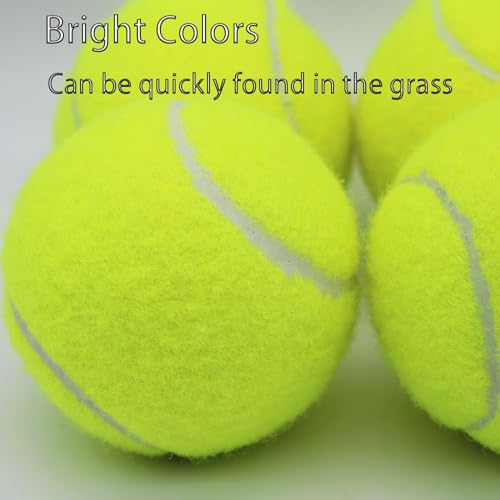SHYUJAJIE Tennis Balls, 6 Pack Training Tennis Balls,High Elasticity Practice Balls for Beginner, Playing Balls for Dogs - color: Yellow