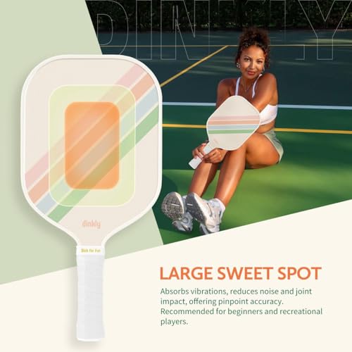 Pickleball Paddles Set of 2/4- USAPA Approved Graphite/Fiberglass Pickleball Racket, 2 Pickleball Rackets, 4 Balls and 1 Portable Carry Bag, Aesthetic Pickle Ball Set for Men Women Beginners - color: 2 Macaron Twill | Gray | Graphite