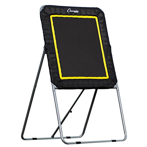 Champion Sports Deluxe Lacrosse Target: Ball Return Bounce Back Net Set for Professional, College and Grade School Training & Drills - style: Deluxe Rebounder (3' x 4')