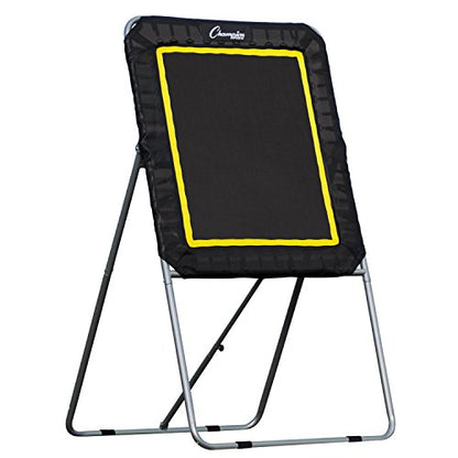 Champion Sports Deluxe Lacrosse Target: Ball Return Bounce Back Net Set for Professional, College and Grade School Training & Drills - style: Deluxe Rebounder (3' x 4')