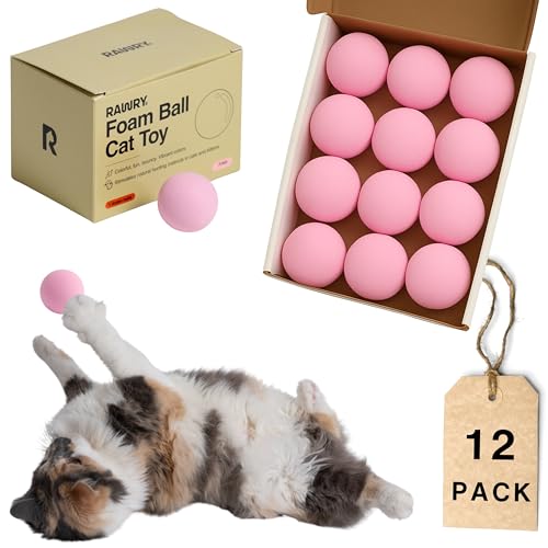 Rawry Foam Ball Cat Toy Set - 12 Lightweight Firm Foam Balls for Indoor Cats & Kittens | Ideal for Batting, Swatting & Chasing | Non-Toxic, Indoor Play | Supervised Use Recommended (12 Pack, Pink) - color: Pink
